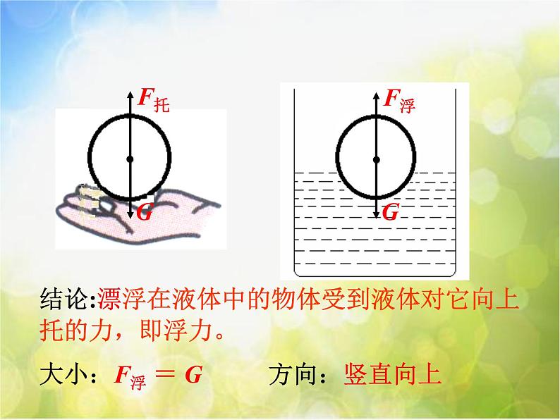 北师大版物理八年级下册8.5 学生实验：探究——影响浮力大小的因素ppt课件第6页