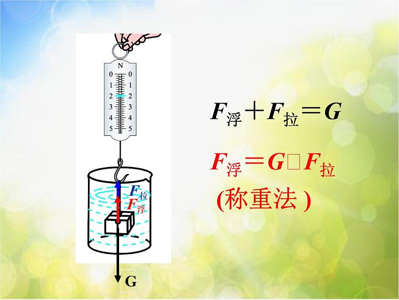 北师大版物理八年级下册8.5 学生实验：探究——影响浮力大小的因素ppt课件第8页