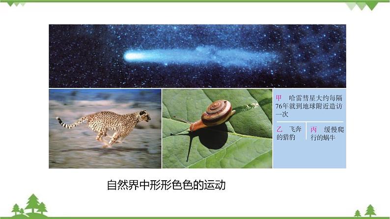 3.1 机械运动-八年级物理上册  同步教学课件+练习（含解析）（沪教版）05