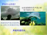 北师大版物理八年级上册4-4 声现象在科技中的应用ppt课件