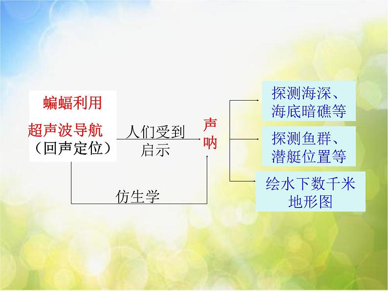 北师大版物理八年级上册4-4 声现象在科技中的应用ppt课件第7页