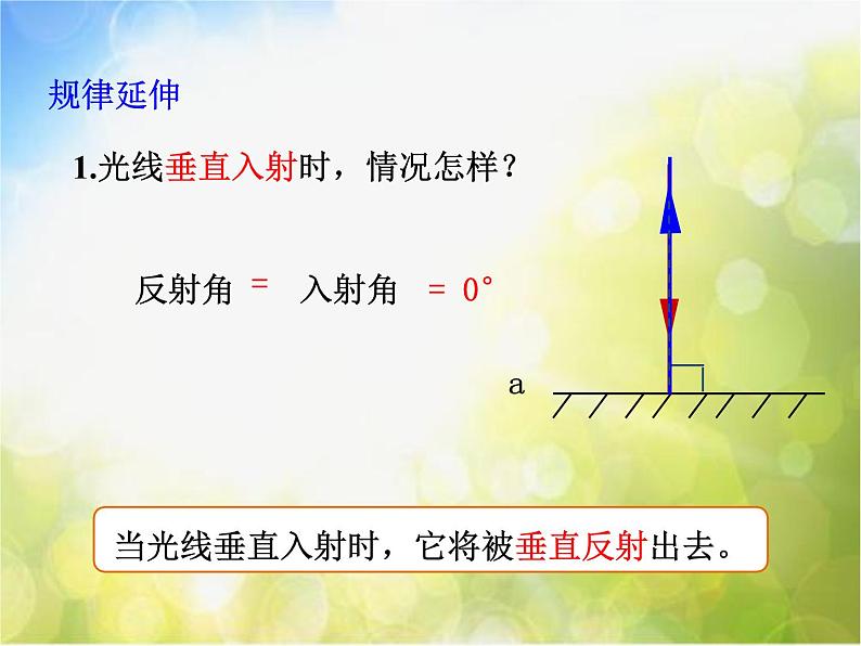 北师大版物理八年级上册5-2光的反射ppt课件第7页