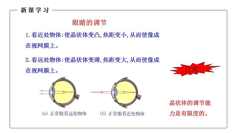 人教版初中物理八年级上册5.4 眼睛和眼镜 课件07