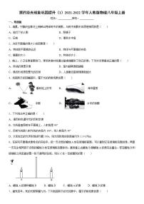 初中物理人教版八年级上册第四章 光现象综合与测试习题