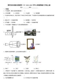 初中物理人教版八年级上册第四章 光现象综合与测试随堂练习题