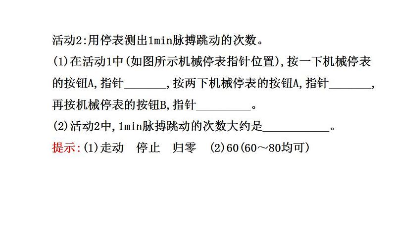 北师大版八年级上册 物理 课件 3.2探究----比较物体运动的快慢03