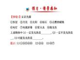 北师大版八年级上册 物理 课件 5.1光的传播