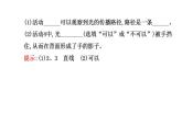 北师大版八年级上册 物理 课件 5.1光的传播