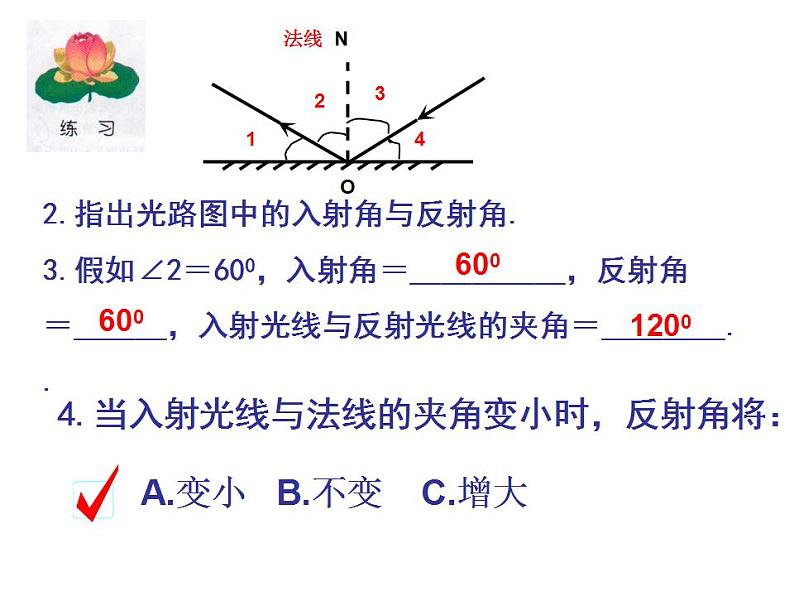 北师大版八年级上册 物理 课件 5.2光的反射208