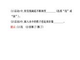 北师大版八年级上册 物理 课件 5.4光的折射