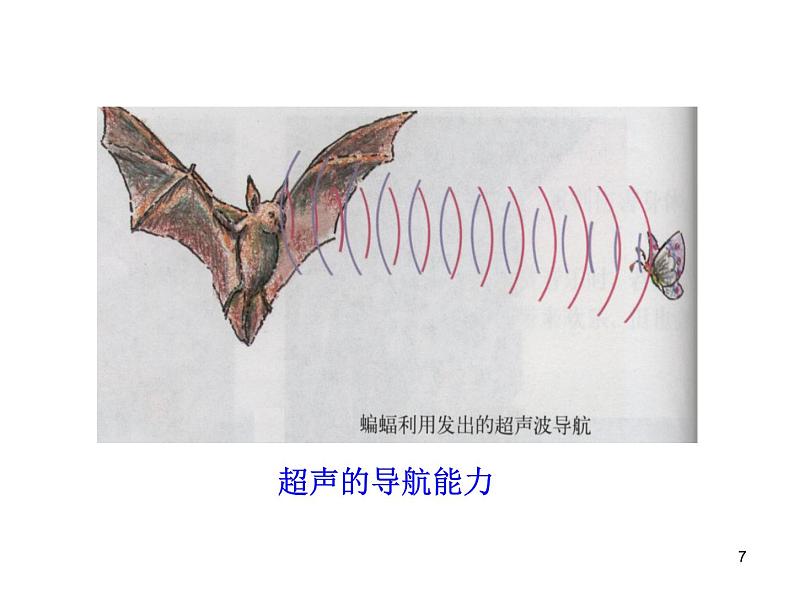 4.4 声现象在科技中的应用（5）物理八年级上册-北师大版课件PPT07