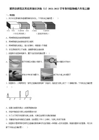 鲁教版 (五四制)八年级上册第四章 透镜及其应用综合与测试课时练习