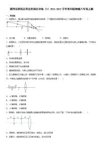 初中物理鲁教版 (五四制)八年级上册第四章 透镜及其应用综合与测试巩固练习