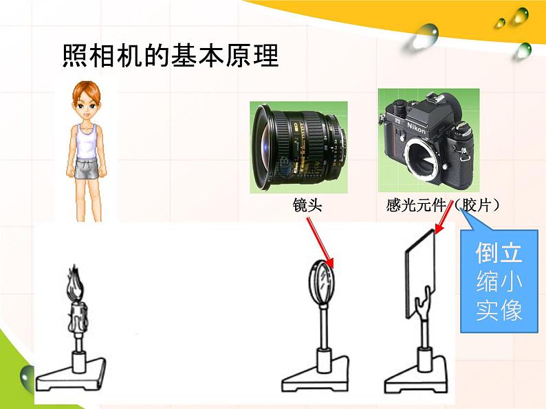 苏科版八年级上册 物理 课件 4.4照相机与眼睛 视力的矫正第7页