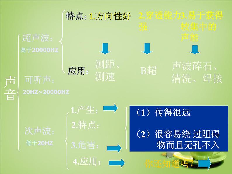 苏科版八年级上册 物理 课件 1.4人耳听不到的声音03