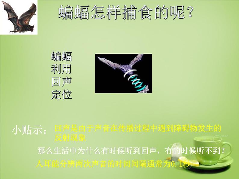 苏科版八年级上册 物理 课件 1.4人耳听不到的声音06