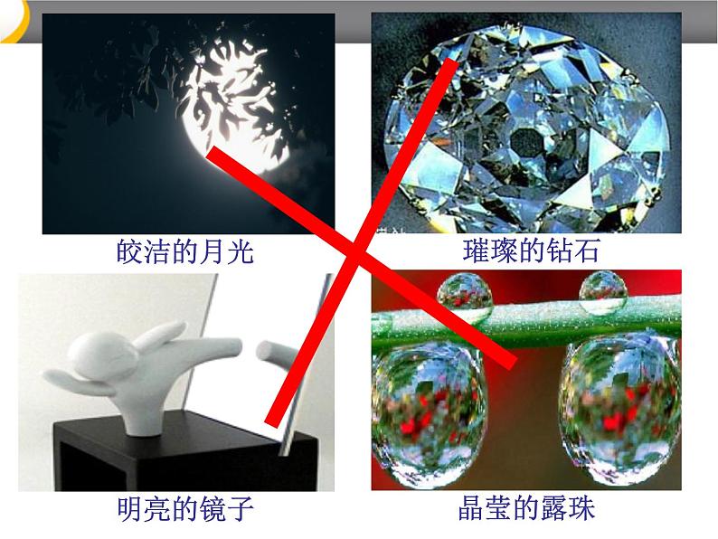 苏科版八年级上册 物理 课件 3.1光的色彩 颜色第6页