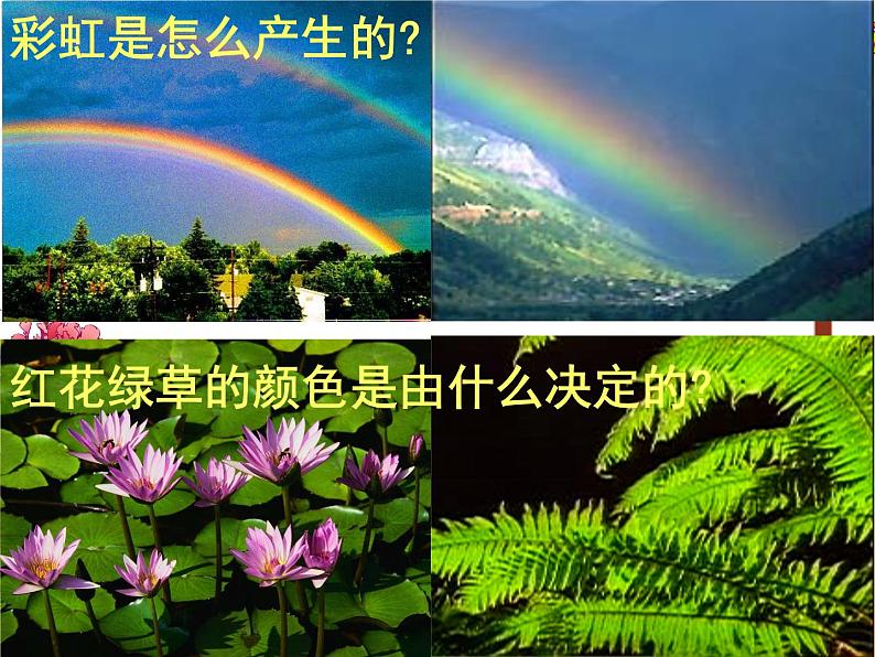 沪科版八年级全册 物理 课件 4.4光的色散202