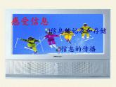 感受信息PPT课件免费下载