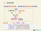 人教版八年级上册 物理 课件 4.2光的反射