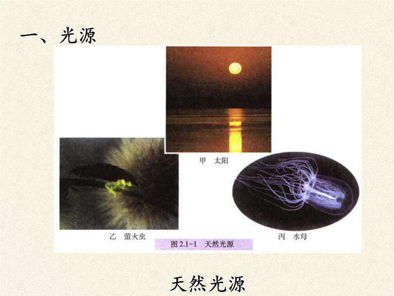 人教版八年级上册 物理 课件 4.1光的直线传播02