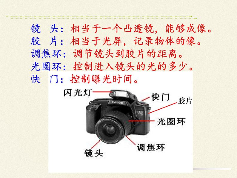 人教版八年级上册 物理 课件 5.2生活中的透镜第2页