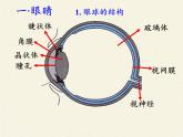 人教版八年级上册 物理 课件 5.4眼睛和眼镜