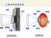 人教版八年级上册 物理 课件 5.4眼睛和眼镜