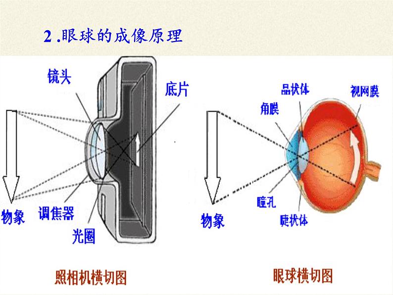 人教版八年级上册 物理 课件 5.4眼睛和眼镜04