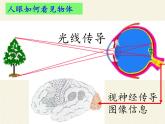 人教版八年级上册 物理 课件 5.4眼睛和眼镜