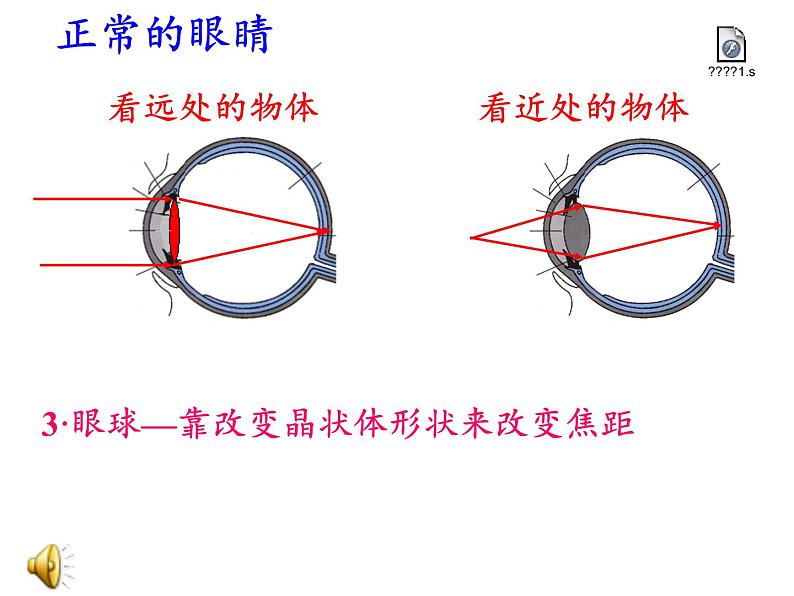 人教版八年级上册 物理 课件 5.4眼睛和眼镜07