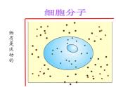 2021-2022学年度北师大版八年级物理上册课件 第1节 运动与静止