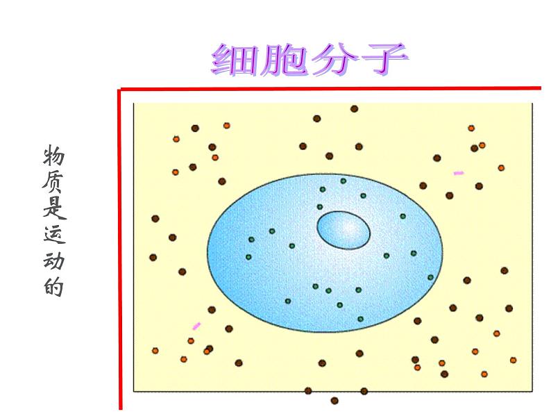 2021-2022学年度北师大版八年级物理上册课件 第1节 运动与静止03