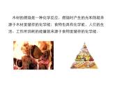 2021-2022学年度沪科版九年级物理全一册课件  第1节 能量的转化与守恒