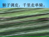 安徽省阜阳市太和县胡总中心学校八年级物理下册 8.2 二力平衡课件