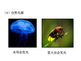 2021-2022学年度北师大版八年级物理上册课件 第1节 光的传播