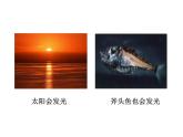 2021-2022学年度北师大版八年级物理上册课件 第1节 光的传播