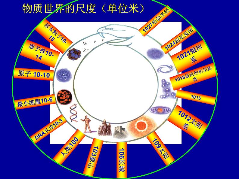 2.1 物体的尺度及其测量（10）物理八年级上册-北师大版课件PPT第5页