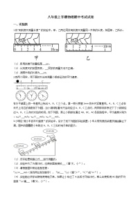 2021年河南省洛阳市八年级上学期物理期中考试试卷附答案