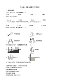 2021年上海市松江区九年级上学期物理期中考试试卷