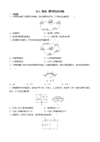 初中第十六章 电压   电阻第1节 电压精品同步训练题