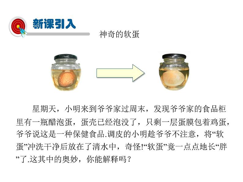 2021-2022学年度教科版九年级物理上册课件第一章  1.分子动理论第3页