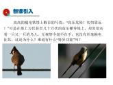 2021-2022学年度教科版九年级物理上册课件第五章 第1节 欧姆定律