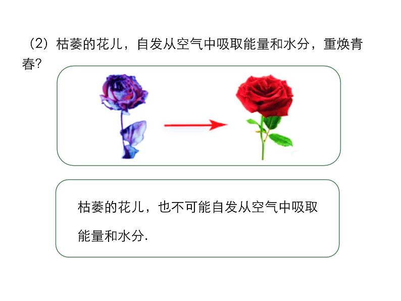 能量转化的方向性和效率PPT课件免费下载07