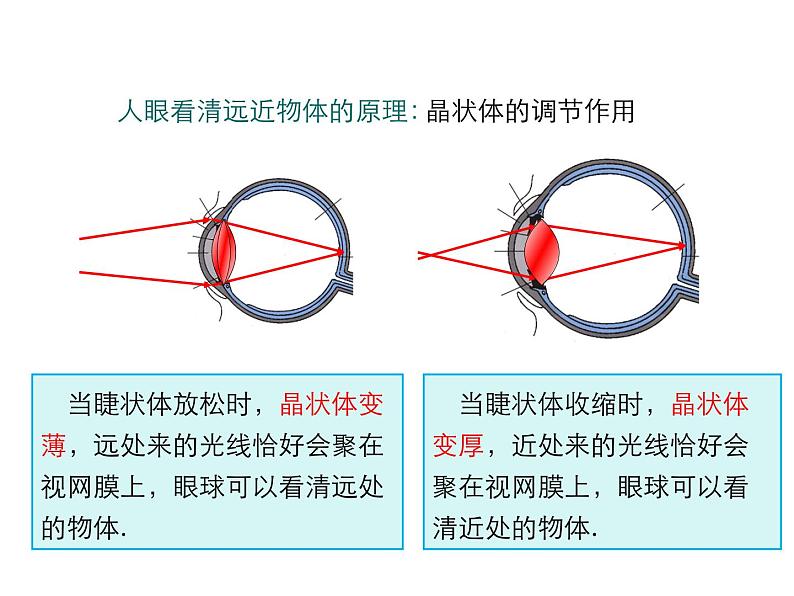 2021-2022学年度人教版八年级物理上册课件 第4节  眼睛和眼镜07