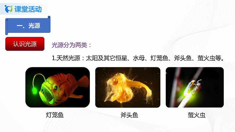 课时4.1  光的直线传播-八年级上册（人教版）（课件+教案+练习）07