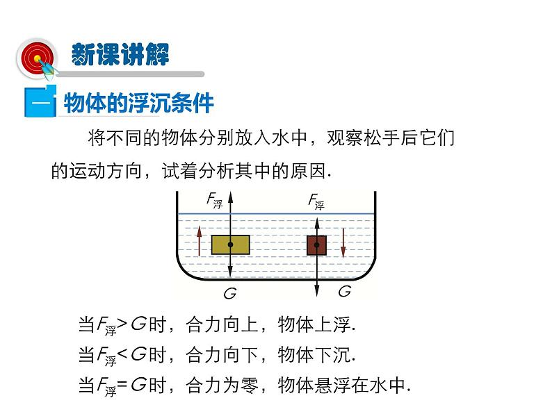 2021-2022学年度北师版八年级物理下册课件 第6节  物体的浮沉条件第5页