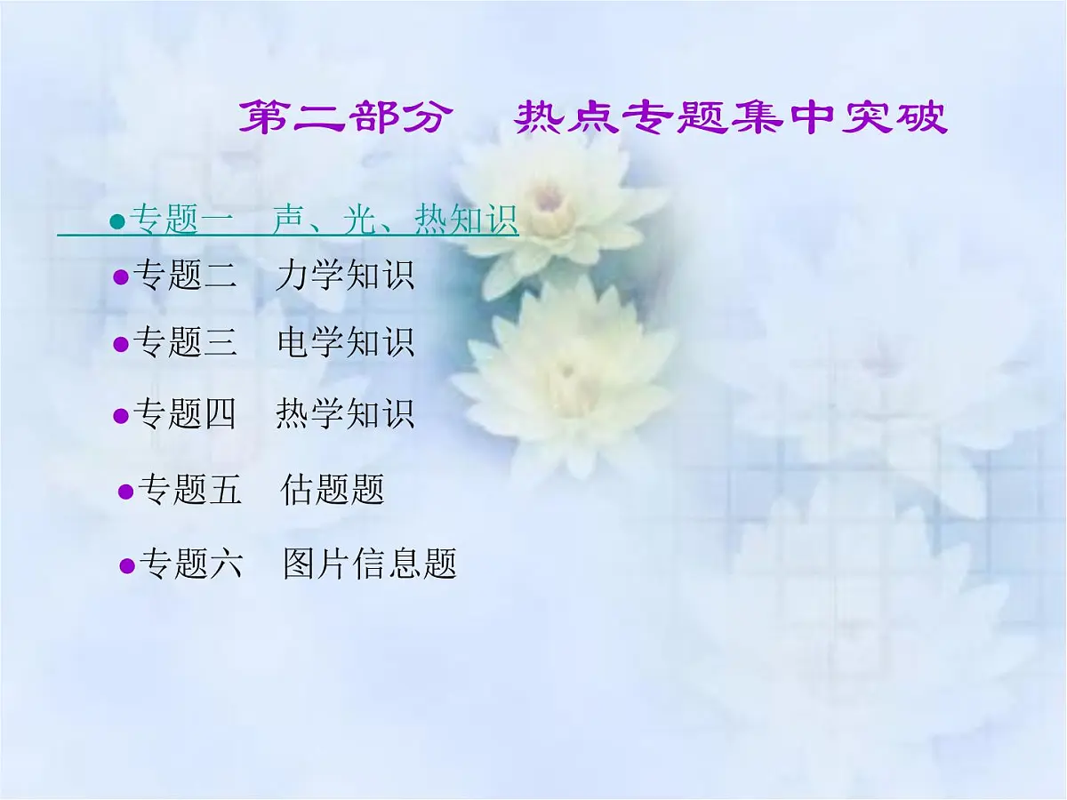 中考物理总复习课件(全部)第2页