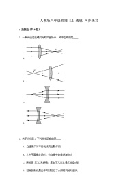 物理八年级上册第1节 透镜当堂达标检测题