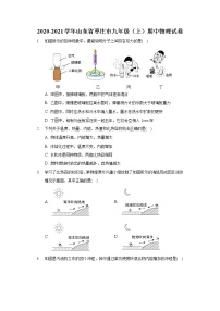 山东省枣庄市2020-2021学年九年级上学期期中物理试卷（word版 含答案）